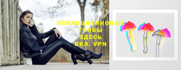 соль ск Коряжма
