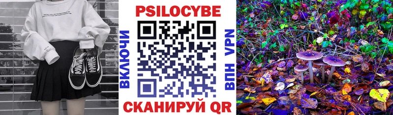 Галлюциногенные грибы Cubensis  Купить закладки  Янаул 