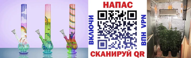 Конопля SATIVA & INDICA Янаул